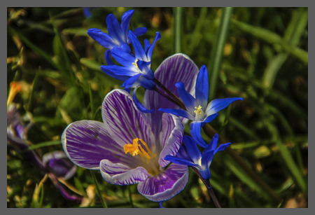 A MAGIA DA NATUREZA